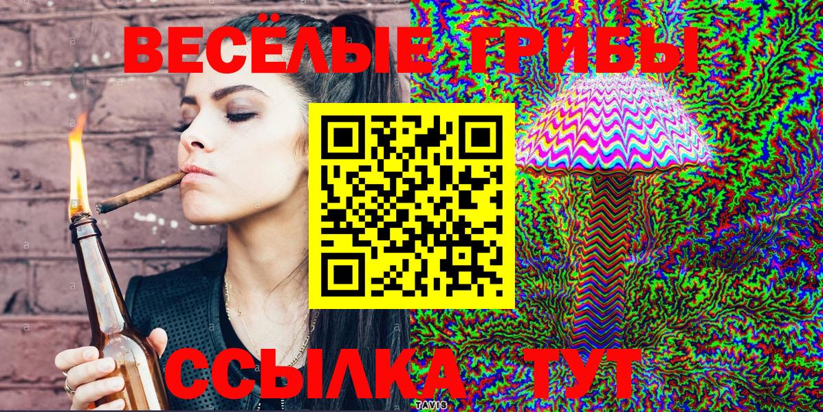 Кумертау  Галлюциногенные грибы Psilocybe  Вход с VPN  Галлюциногенные грибы прущие грибы 